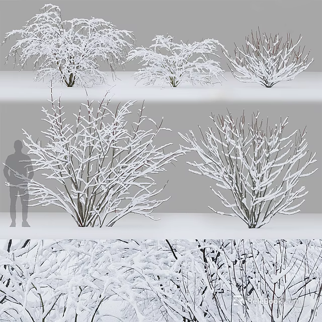 Snow Covered Trees In Winter With Bare Branches Various Angles And Human Silhouette Scale 3d model