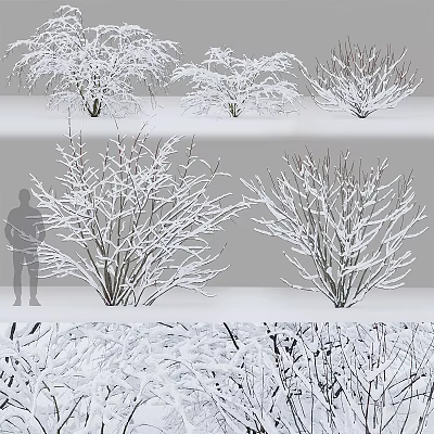 Snow Covered Trees In Winter With Bare Branches Various Angles And Human Silhouette Scale 3d model