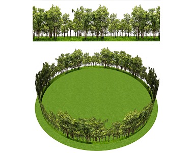 Forest Trees Meadow 3d model