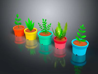Colorful Potted Plants with Different Leaf Types in Bright Colored Pots on Dark Surface 3d model