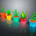 Colorful Potted Plants with Different Leaf Types in Bright Colored Pots on Dark Surface