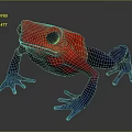 Colorful Red Frog with Blue Legs and Black Eyes on Gray Surface