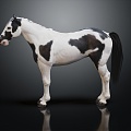 Modern Horse Big Horse Mustang 3d model