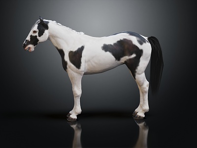 Modern Horse Big Horse Mustang 3d model