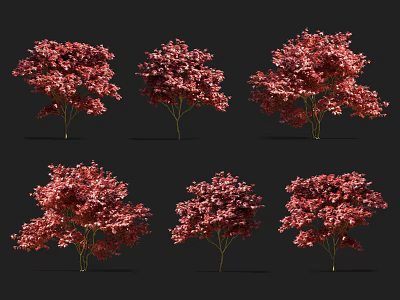 Red Leaf Trees Various Forms Display In 3D Render Design 3d model