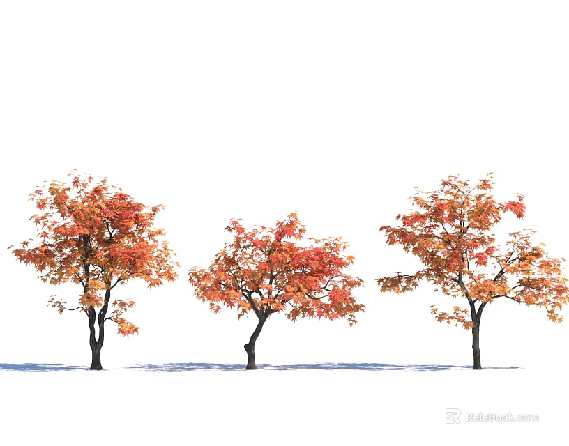 Autumn Themed Arbor Trees with Red and Orange Leaves Three in Row on White Background 3d model 