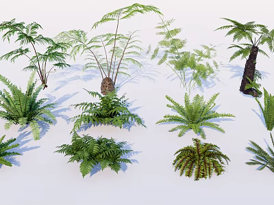 Diverse Collection Of Green Ferns And Palm Plants With Natural Foliage 3d model