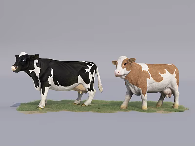 Modern cows 3d model Modern cows 3d model