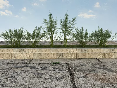 Green Plants Planted Behind Stone Low Wall With Blue Sky White Clouds On Gravel Ground 3d model