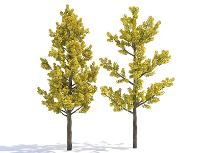 Two Deciduous Trees with Vibrant Yellow Lush Leaves and Thick Brown Trunks 3d model
