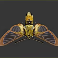 Yellow Insect With Orange And Blue Textured Wings On Grey Gradient Background With Reflection 3d model