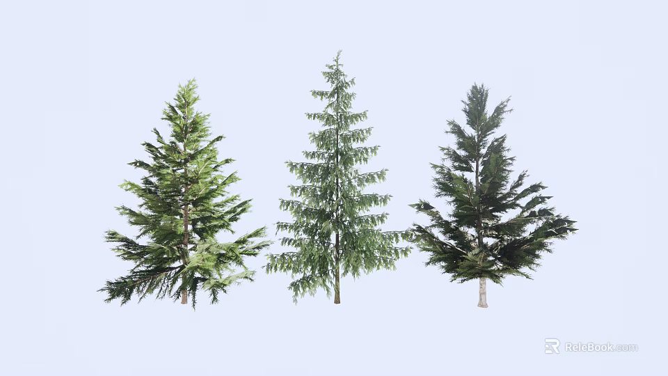 Three Varieties of Evergreen Trees with Lush Green Foliage and Natural Shapes 3d model 