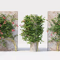 Vines with Lush Green Leaves and Red Flowers Climbing Stone Wall and Pillar