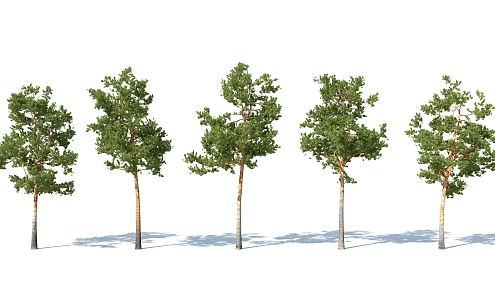 The Modern Tree 3d model