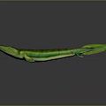 Green Long Bodied Aquatic Reptile With Yellow Stripes On Gray Background