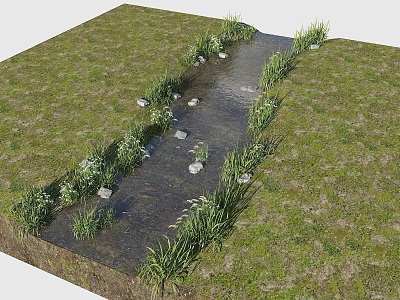 Natural Waterside Landscape with Meandering Stream Green Grass and Stone Features 3d model