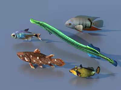 Fish Freshwater Fish Sea Fish Animal Game Animal 3d model