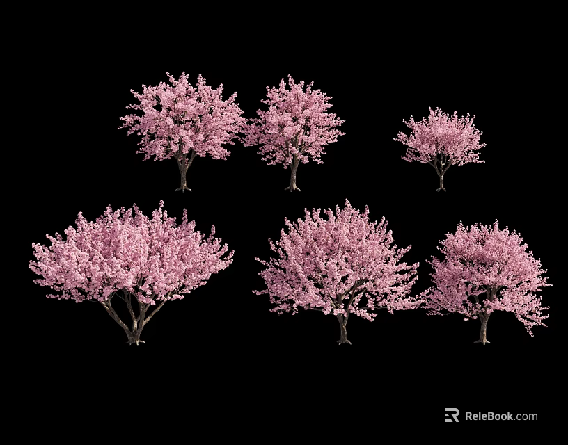 Six Beautiful Trees With Vibrant Pink Blossoms Against Black Background 3d model 