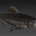 Dark Aquatic Fish With Textured Scales And Streamlined Body In Blue Background