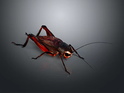 Elegant Irregular Shaped Chandelier With Creative Design For Contemporary Living Space 3d model