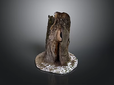 Natural Tree Stump With Rough Bark Texture And Snowy Base 3d model