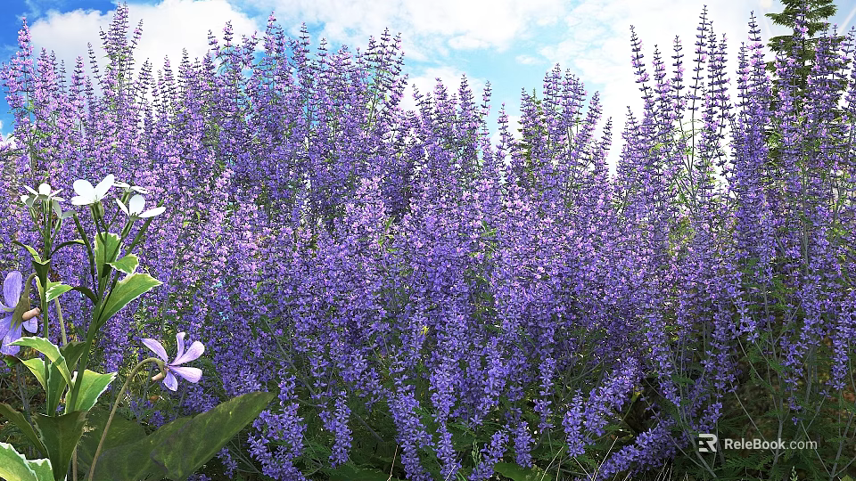 Lush Purple Flowers in Field with Green Leaves and Blue Sky 3d model 