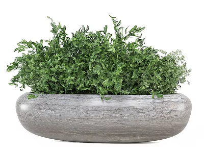 Bonsai Potted Plant with Lush Green Foliage in Oval Shaped Gray Stone Textured Pot 3d model