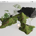Plant Combination with Moss Covered Terrain Ferns Rocks and Small Plants
