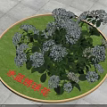 Beautiful Light Blue Hydrangea Flowers Displayed On Circular Green Base And Stone Tile Floor