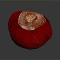 Red Fruit Showing White Mold Growth On Decayed Surface As Household Item
