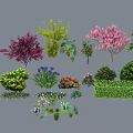 Various Colorful Bushes With Green Pink Purple Foliage For Garden Landscaping