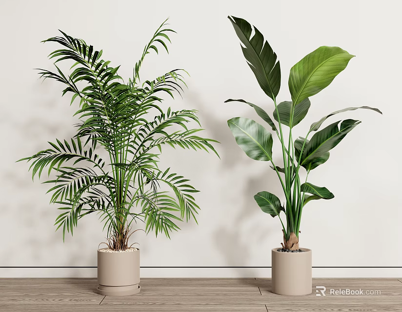 Indoor Potted Plants With Tall Green Leaves In Beige Pots On Wooden Floor 3d model 