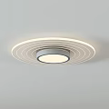 Modern Minimalist Ceiling Lights With Different Shapes And Metal Frame Design 3d model
