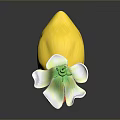 Adorable Yellow Duck Toy Wearing Lotus Shaped White Hat With Green Decoration