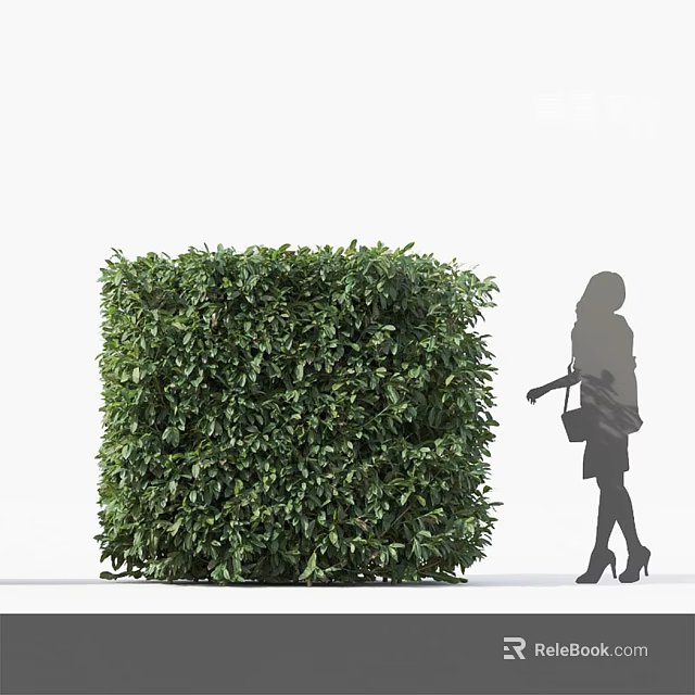 Cube Shaped Green Bush With Female Silhouette Walking Nearby 3d model 