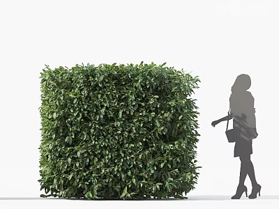 Cube Shaped Green Bush With Female Silhouette Walking Nearby 3d model