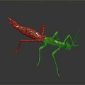 Detailed Brown Praying Mantis With Slender Legs Distinct Head And Dark Background