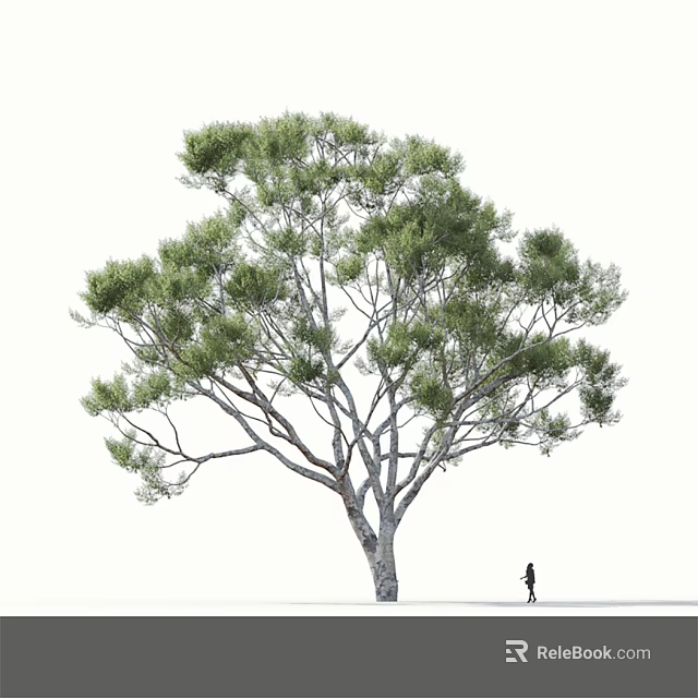 Tall Arbor With Lush Green Foliage And Person Standing Beside 3d model 