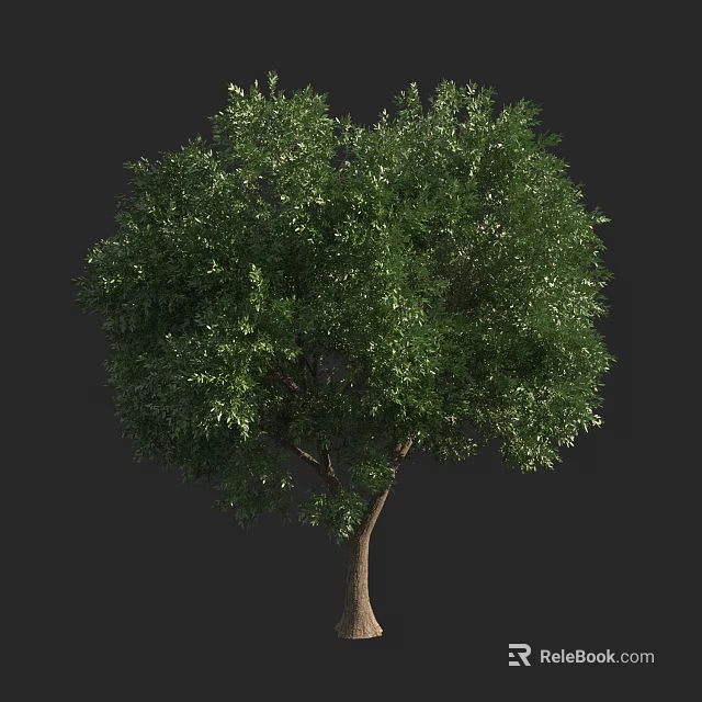 Arbor With Lush Green Foliage And Sturdy Trunk Isolated On Dark Background 3d model 