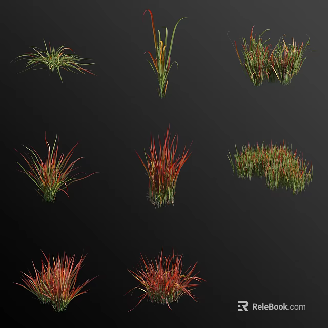 Various Colorful Grass And Flower Plants With Green And Red Foliage 3d model 
