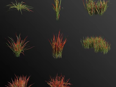Various Colorful Grass And Flower Plants With Green And Red Foliage 3d model
