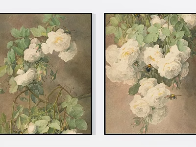 Botanical Paintings Of White Roses With Green Leaves And Bee Details 3d model