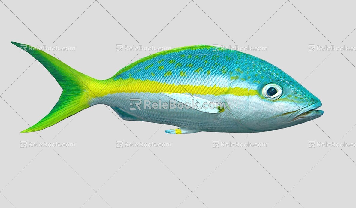 Yellow Snapper Marine Fish 3d model