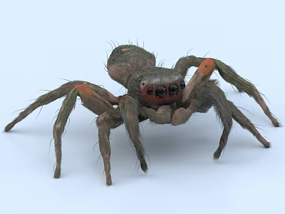 Reptile With Brownish Gray Body Orange Legs And Black Eyes On Light Blue Background 3d model