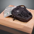 Black Canvas Small Backpack With US Dollar Bills On Wooden Platform 3d model