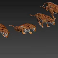 Tiger with animation 3d model