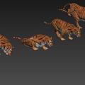 Tiger with animation 3d model