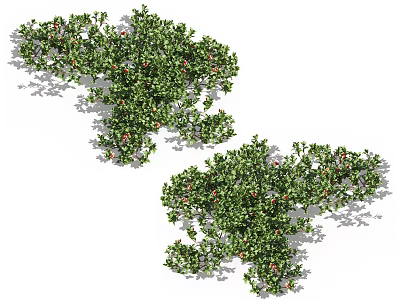 Lush Green Vines With Dense Foliage And Natural Climbing Growth Pattern 3d model