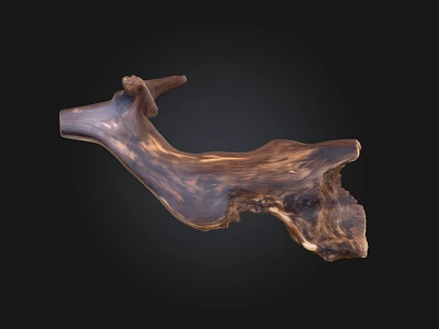 Natural Stone Wood Sculpture With Unique Organic Form And Natural Texture 3d model