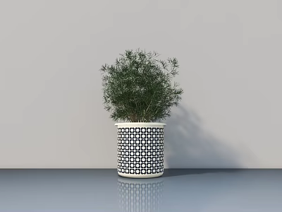 Bonsai Potted Plant in Black White Geometric Pattern Pot with Green Foliage on Gray Floor 3d model